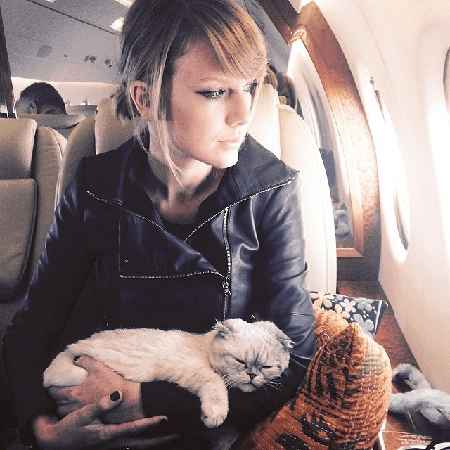 a woman in a leather jacket is holding a cat in her lap