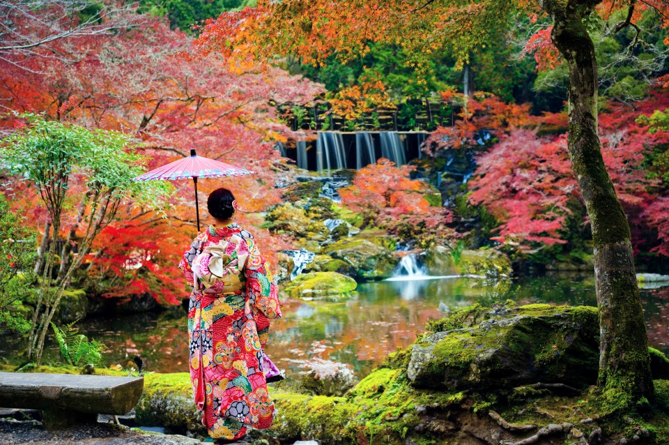 a woman in a kimono holds an umbrella in front of a waterfall