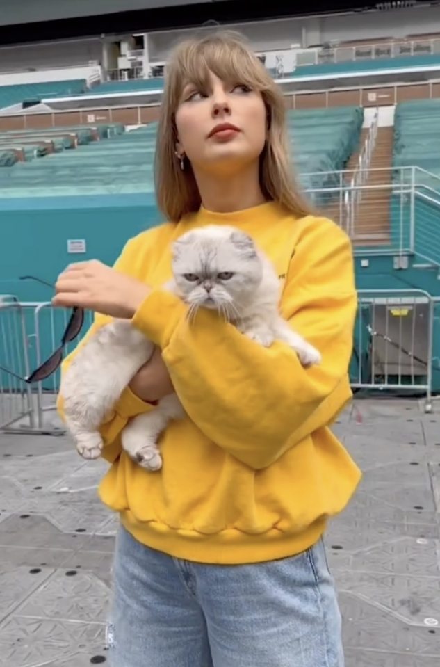 a woman in a yellow sweatshirt is holding a cat