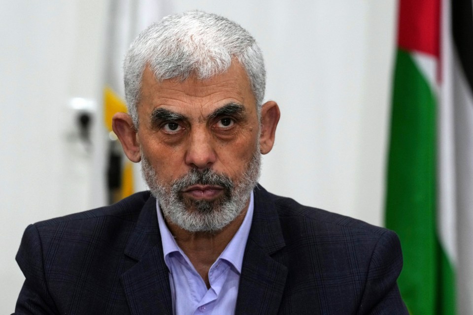 a man with a beard wears a scarf around his neck