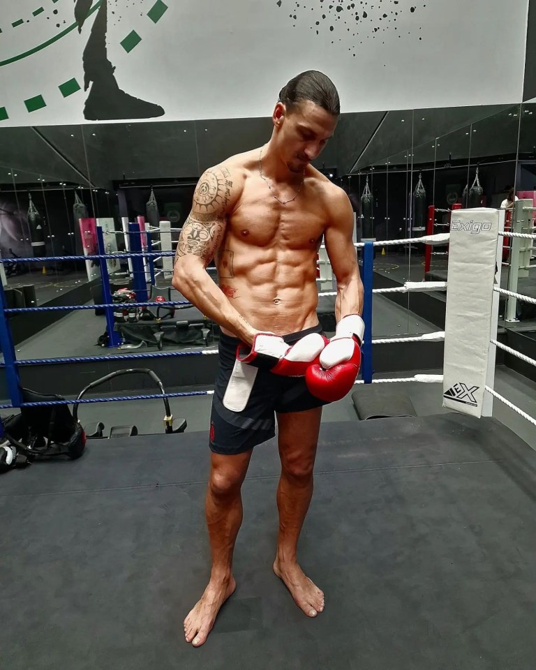 a man wearing boxing gloves stands in a boxing ring