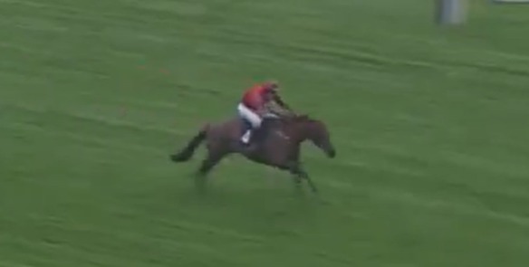 a jockey is riding a horse on a race track .