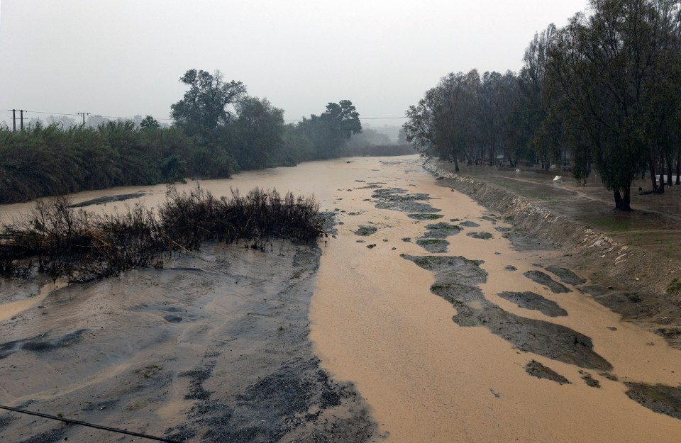 a river with a lot of brown water and trees in the background