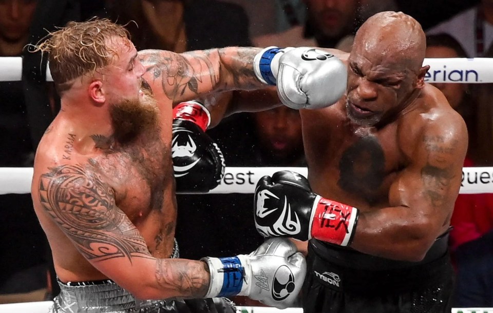 two boxers in a ring with the words sportsfile at the bottom