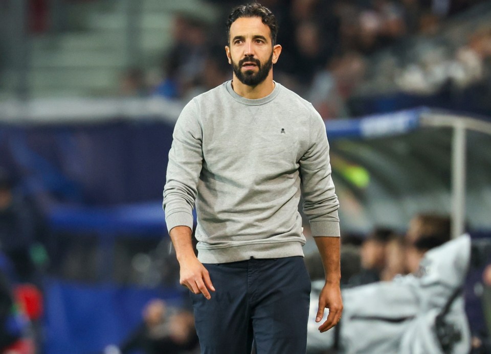 a man with a beard wears a grey sweatshirt with the letter e on it