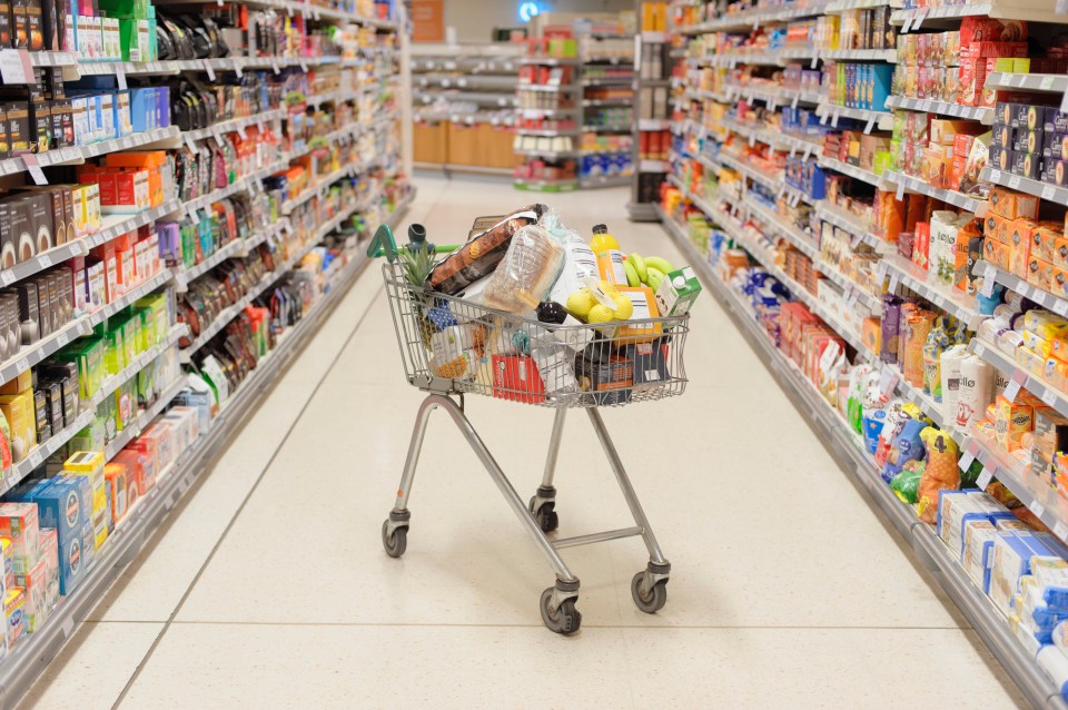 a shopping cart filled with groceries in a grocery store