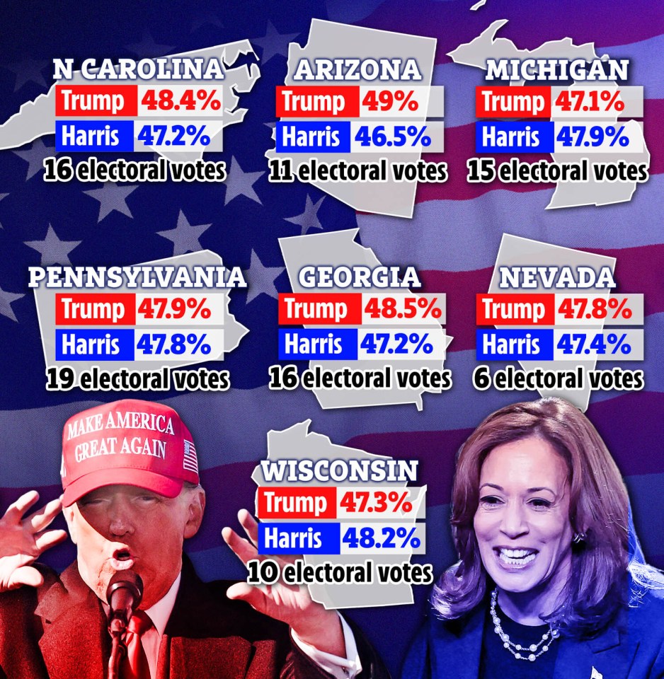 a graphic showing the percentage of electoral votes in each state