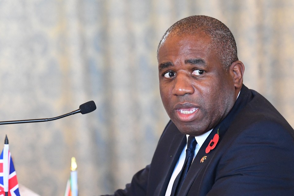 a man in a suit and tie with a poppy on his collar is speaking into a microphone
