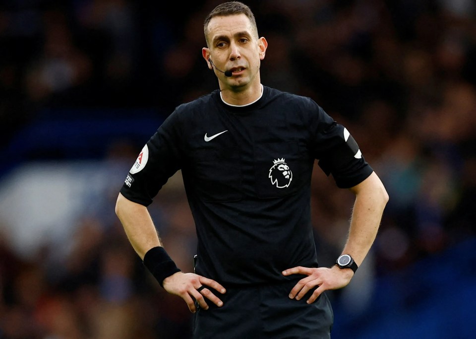 a referee wears a black shirt with a lion on it