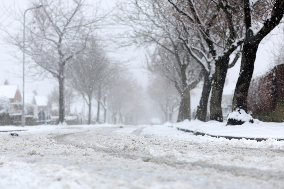 a snowy street with trees covered in snow