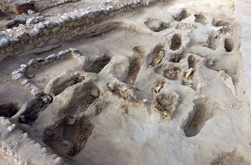 a bunch of bones are laying in a pile of dirt