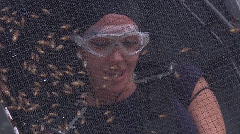 Tulisa is tasked with the Bushtucker Trial in tonight's episode