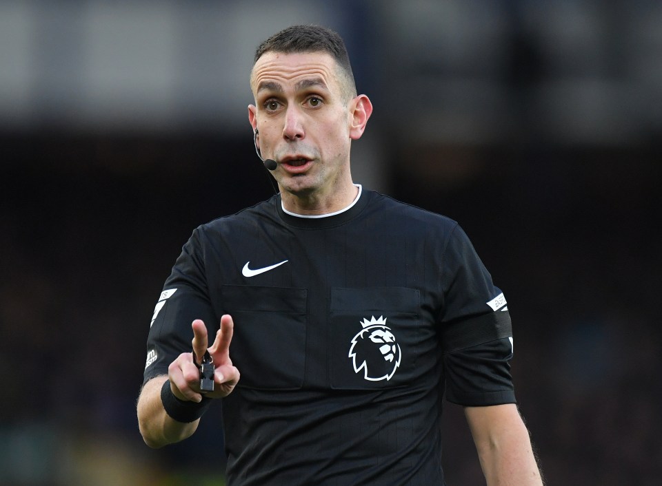 a referee is wearing a black shirt with a lion on it