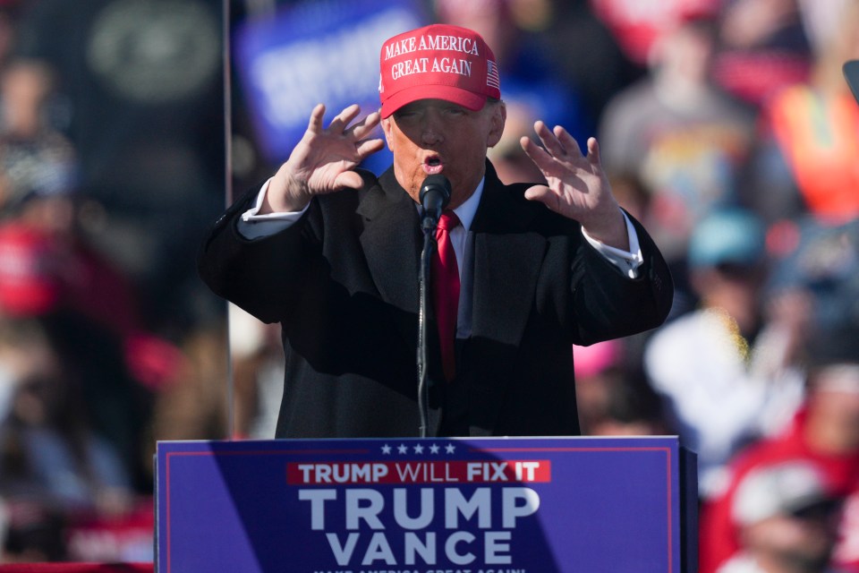 a man wearing a make america great again hat speaks into a microphone