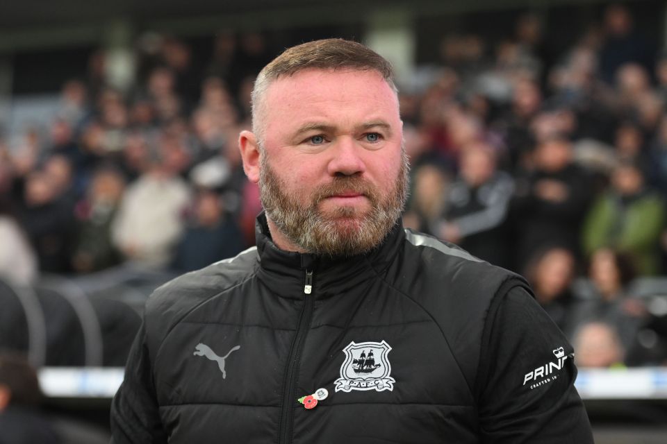 Wayne Rooney is looking at a loan move to sign Jayden Danns