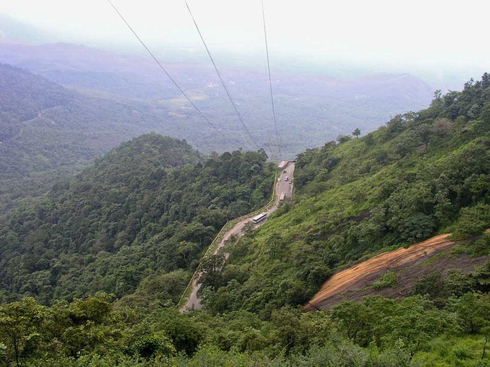 a road going through a lush green forest with power lines in the background