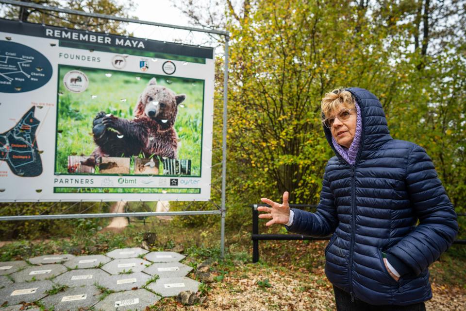 Woman at Libearty Bear Sanctuary information panel.