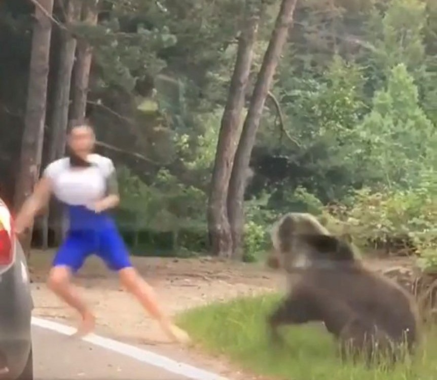 Woman running from bear near road.
