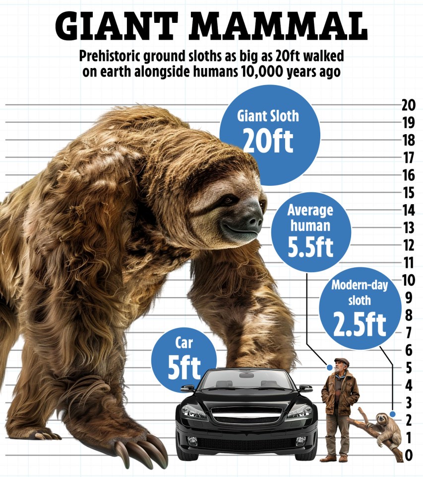 Size comparison graphic showing a giant ground sloth next to a human and a car, illustrating that the prehistoric sloth was 20 feet tall.