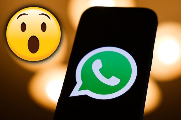 WhatsApp logo on a phone screen, next to a surprised emoji.