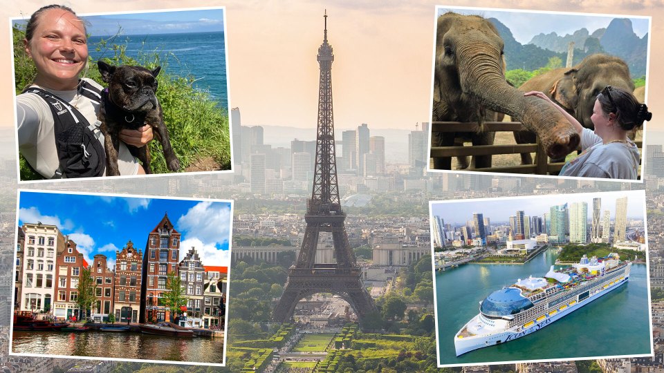Collage of travel photos: woman with dog, Eiffel Tower, elephants, Amsterdam canal houses, and a cruise ship.