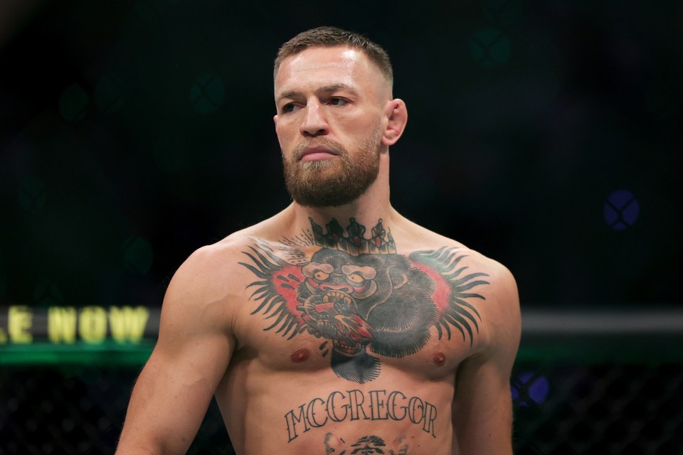 Conor McGregor in the octagon before a UFC fight.