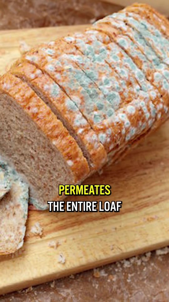 Moldy bread loaf; mold permeates the entire loaf.
