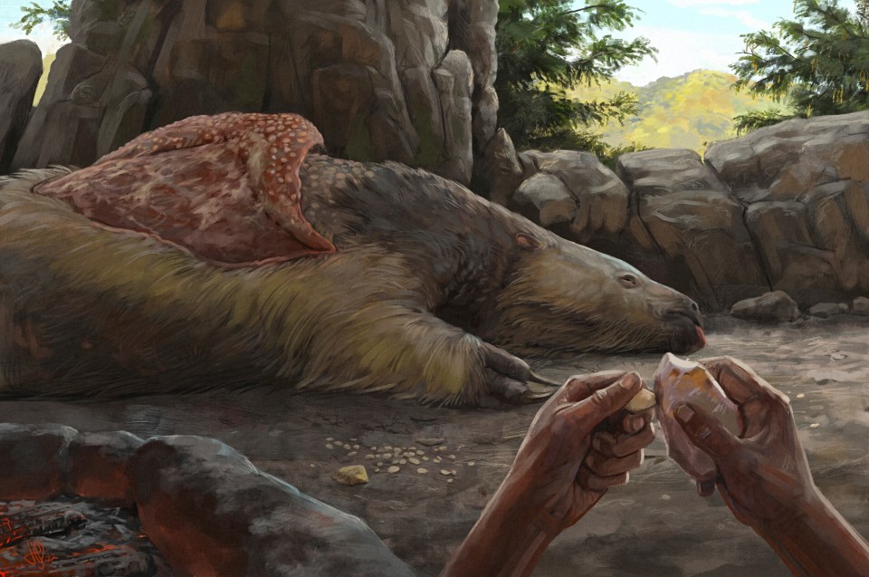 Illustration of a person carving an osteoderm from a giant sloth.