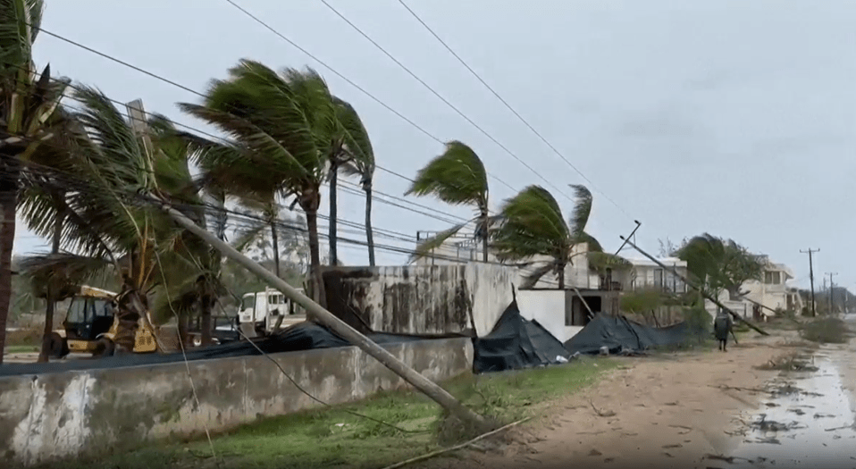 Hurricane damage: downed power lines and palm trees.