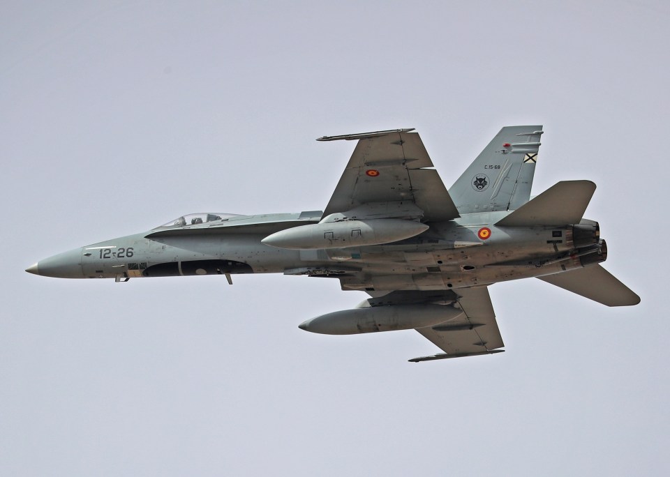 Spanish Air Force McDonnell Douglas F/A-18A Hornet in flight.