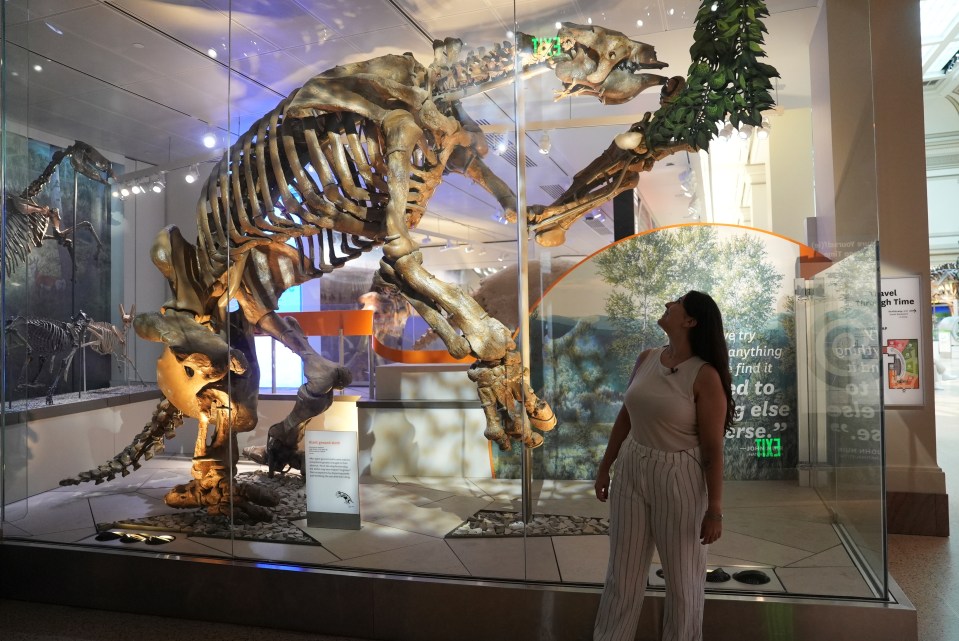 Paleontologist Thaís Pansani standing by a giant ground sloth skeleton at the Smithsonian National Museum of Natural History.
