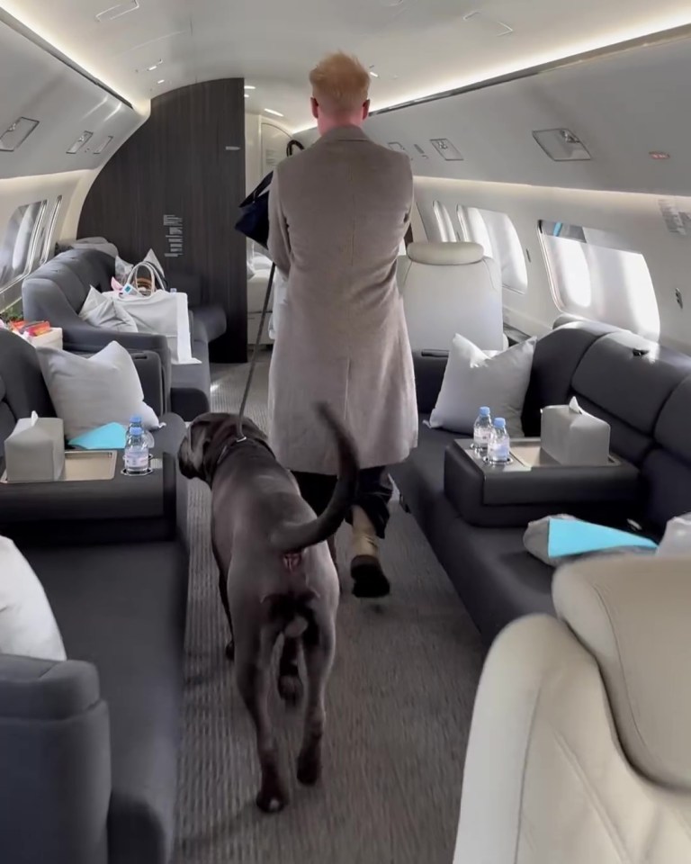 Ronan Keating walking his dog on a private jet.