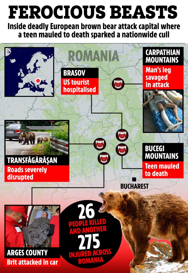 Map of Romania showing locations of brown bear attacks resulting in 26 deaths and 275 injuries.