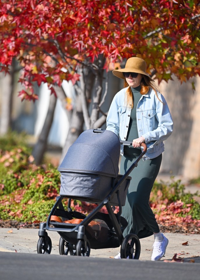 Karen Gillan and her husband are seen pushing a baby stroller.