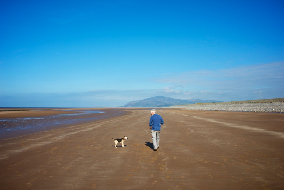 A man and his dog walk along a sandy beach.