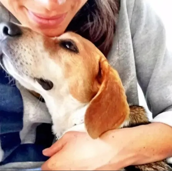Woman hugging beagle.