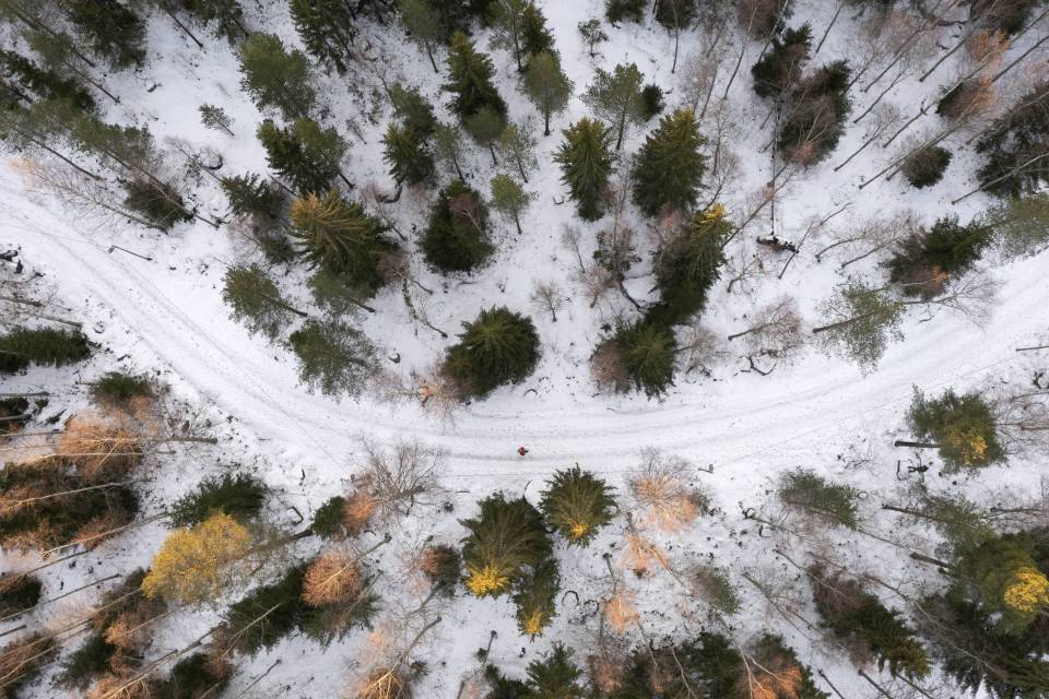 Aerial view of a person walking on a snow-covered path through a forest.