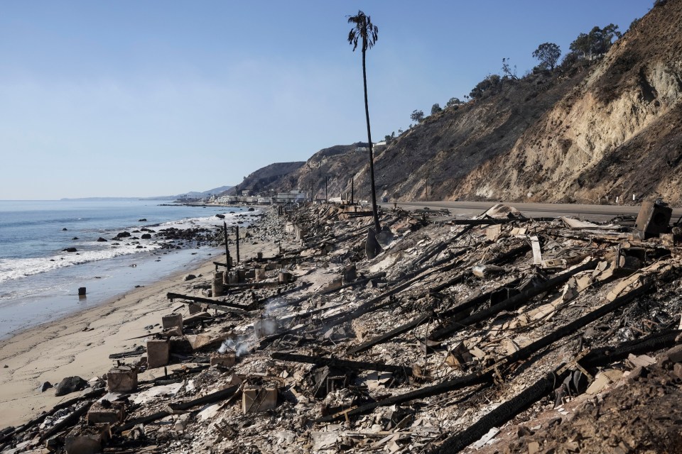 Burned-out buildings along a beach after a wildfire.