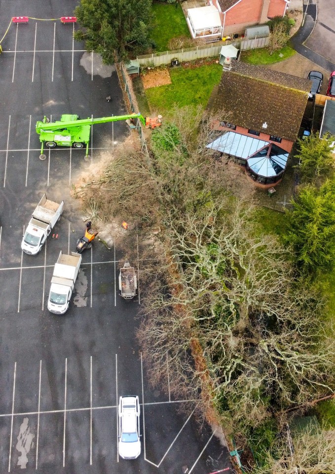 Aerial view of a house and the removal of a large oak tree.