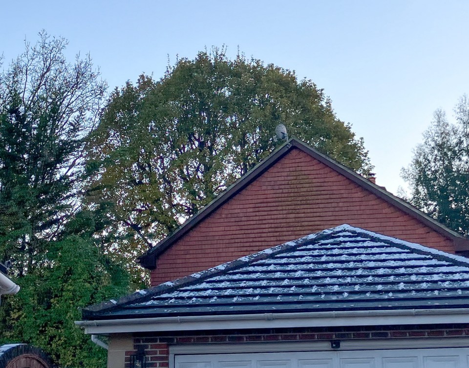 House and cars parked in driveway, with a large oak tree visible in the background before it was felled.
