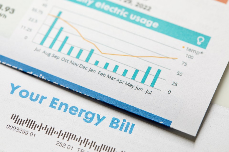 Energy bill with usage graph.