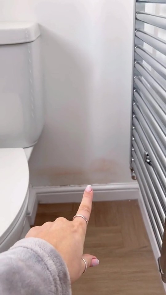 Hand pointing at damp wall near toilet and radiator.