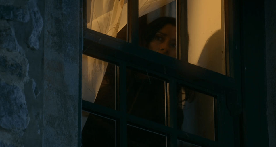 Anthony Fox looking out a window.