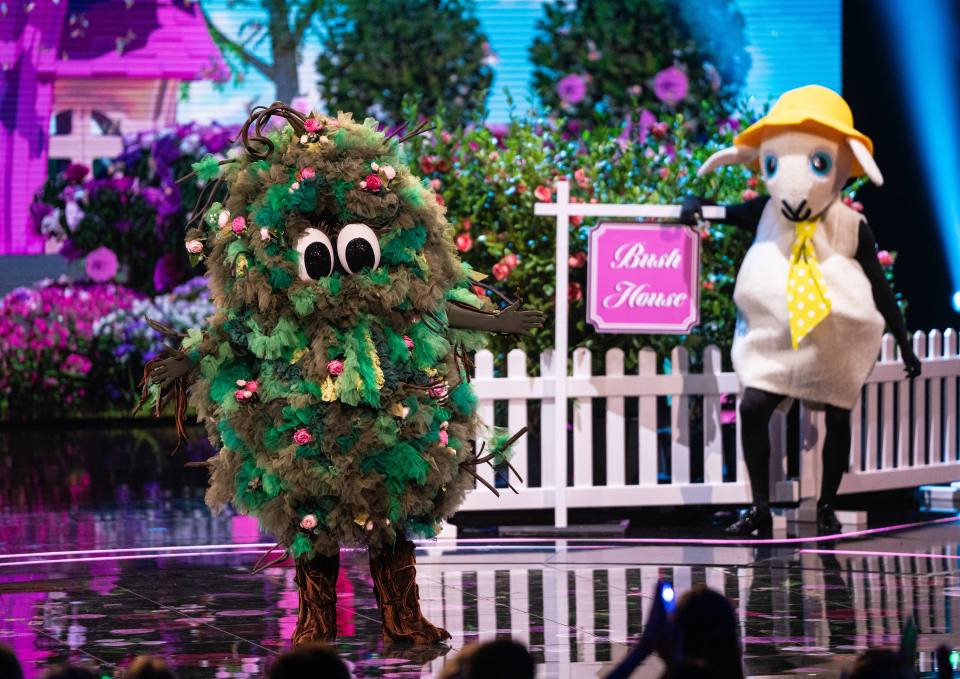 Bush and Sheep contestants on The Masked Singer.