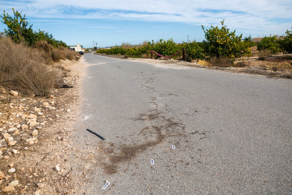 Forensic markers on a road near a lemon farm.