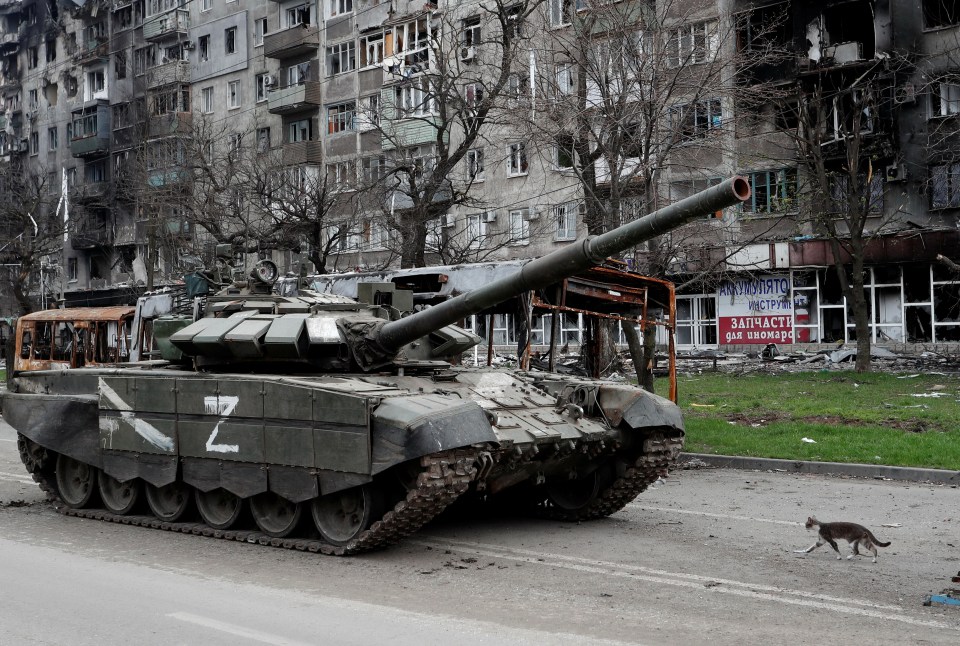 A cat walks past a tank in war-torn Mariupol, Ukraine.