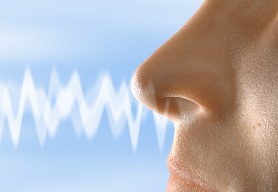 Illustration of a smell moving towards a nose.