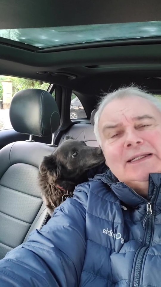 Eamonn Holmes reunited with his dog in a car.