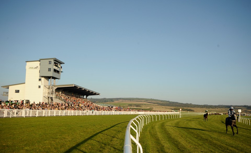 Horse race at Ffos Las racecourse.