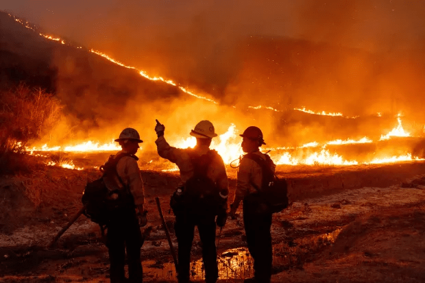 Firefighters observing a wildfire.
